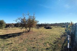 Terreno Agricolo Vasanello [Cod. rif 3279497VCG]