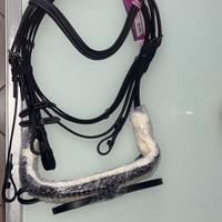 Testiera e parastinchi