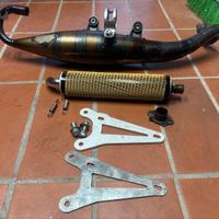 Yasuni c16 OMOLOGATA