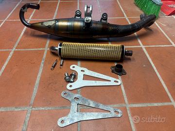 Yasuni c16 OMOLOGATA