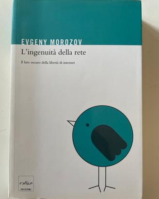 l’ingenuità della rete