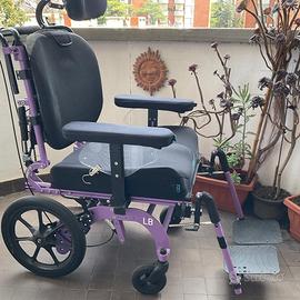 Sedia a rotelle. Carrozzina