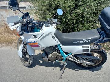 honda dominator