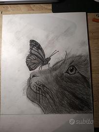 disegni
