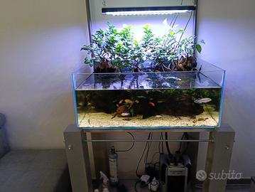 acquario completo 