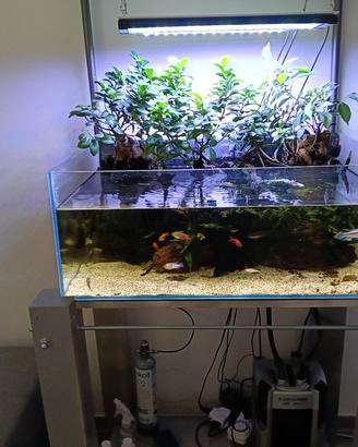 acquario completo 