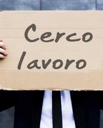 Addetto part-time / varie mansioni, search for job