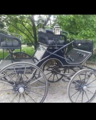 Carrozza d'epoca blu scuro per cavalli – Ideale pe
