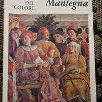 i maestri del colore