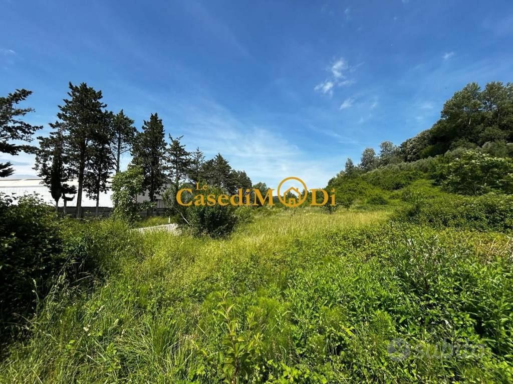 Terreno di 8000 m² a Fauglia - Vista 4