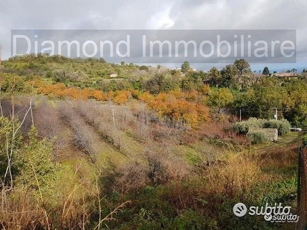 Terreno 5 ettari con fabbricato Piedimonte Etneo - Vista 4