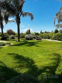 Casa vacanza gallipoli sannicola salento lecce