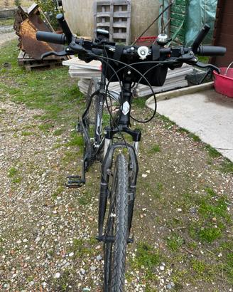 Montebike