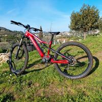 Ebike Olympia ex900 trail L