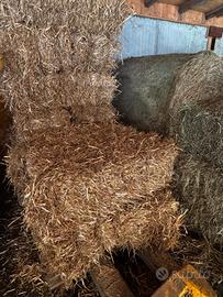 ballette fieno e paglia