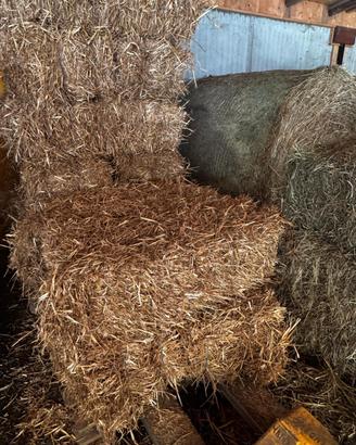 ballette fieno e paglia
