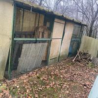 Voliera box cani