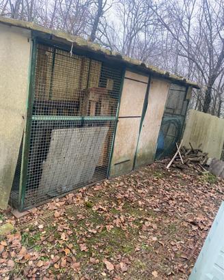 Voliera box cani