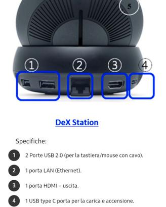 Dex S