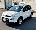 fiat-panda-1-0-firefly-s-s-hybrid
