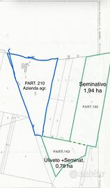Terreni agricoli seminativi e uliveto