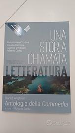Una storia chiamata Letteratura Dante Alighieri 