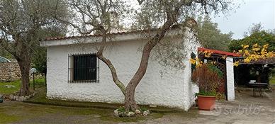 Villa con terreno - monte oro