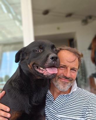 Rottweiler maschio per riproduzione