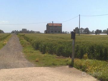 Cascina - Casale - Rustico