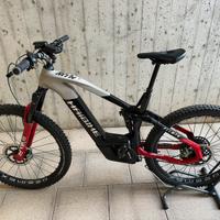 Ebike