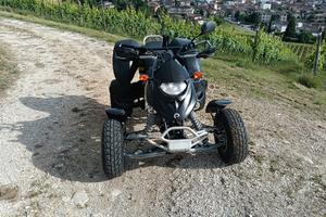 Can-Am Bombardier DS 650 – 2007 – 652cc Rotax