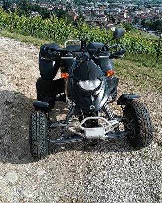 Can-Am Bombardier DS 650 – 2007 – 652cc Rotax