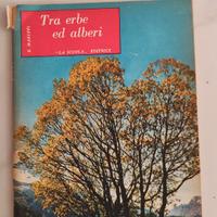 Libro TRA ERBE ED ALBERI editrice La scuola 1956