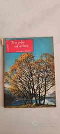 Libro TRA ERBE ED ALBERI editrice La scuola 1956