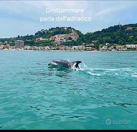 Casa vacanze grottammare dal.22 agosto disponibi