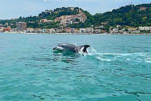 Casa vacanze grottammare dal.22 agosto disponibi
