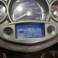 x city 250