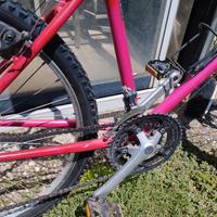 bicicletta mtb