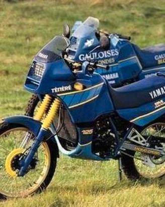 YAMAHA DT TENERÈ 125  Libretto manutenzione