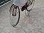 Immagine 3