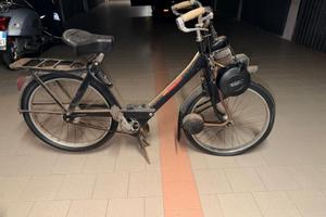 Solex 3800