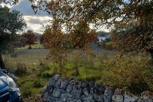 Terreno 2.260 mq - Locorotondo (Contrada Nunzio)