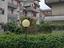 Immagine 11