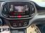 Immagine 12