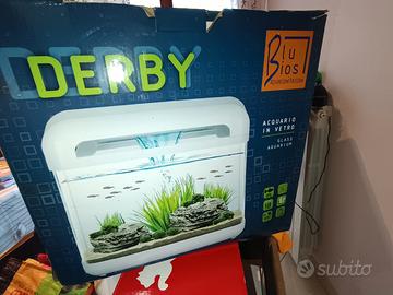 nuovissimo acquario pesci rossi