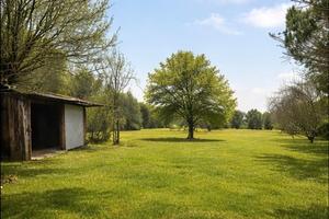 Terreno Agricolo+annesso 30 mq condonato