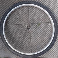 cerchi mtb