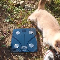 Bilancia Smart Renpho Bluetooth, Analisi corporea