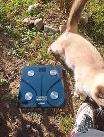 Bilancia Smart Renpho Bluetooth, Analisi corporea