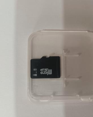 MICRO SD 1GB